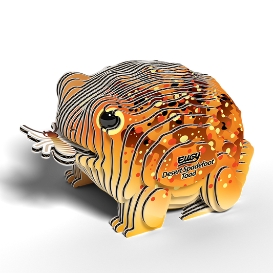 eugy-117-desert-spadefoot-toad
