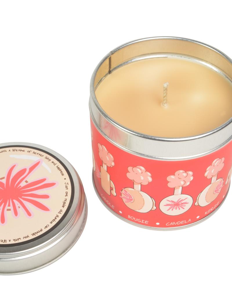 bougie-rick-et-morty-plumbus