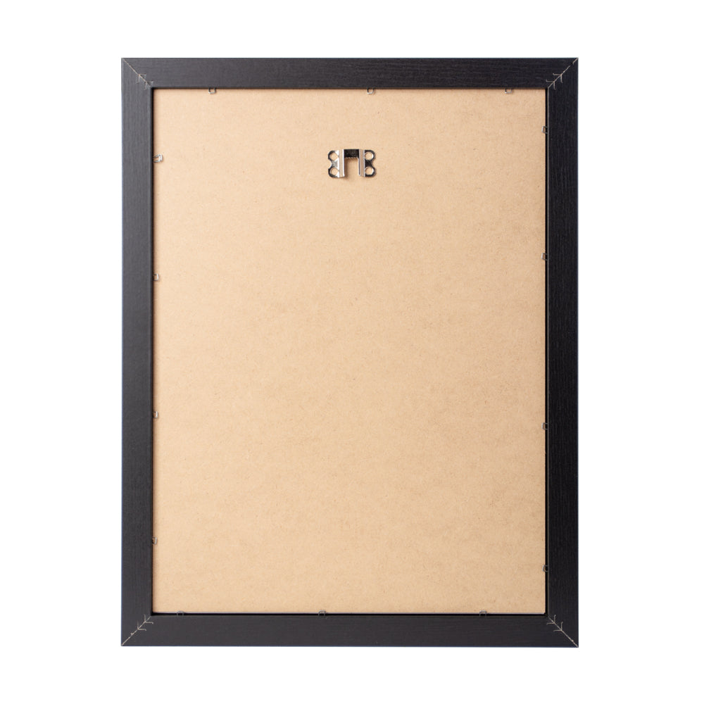 Obraz Star Wars - Darth Vader