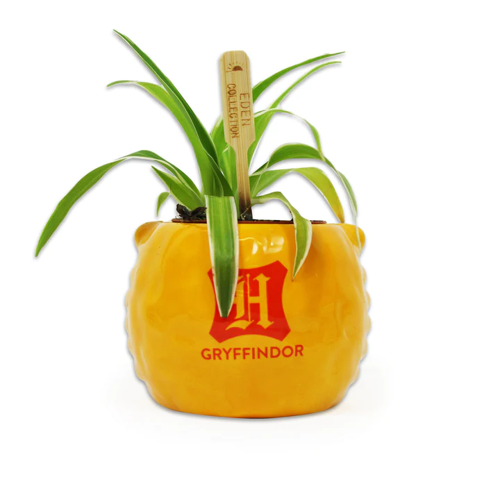 pot-gryffindor