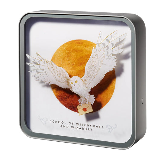 harry-potter-hedwig-perspex-lamp-numskull