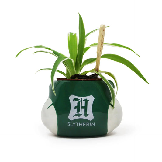 Slytherin Pot