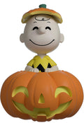 pumpkin patch charlie brown youtooz