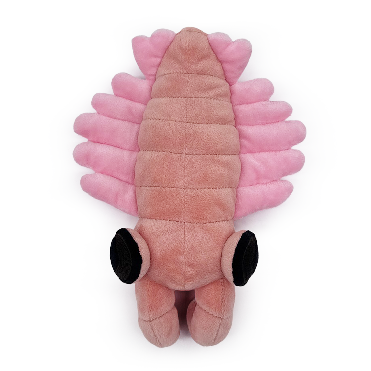 Anomalocaris Plush (9in)