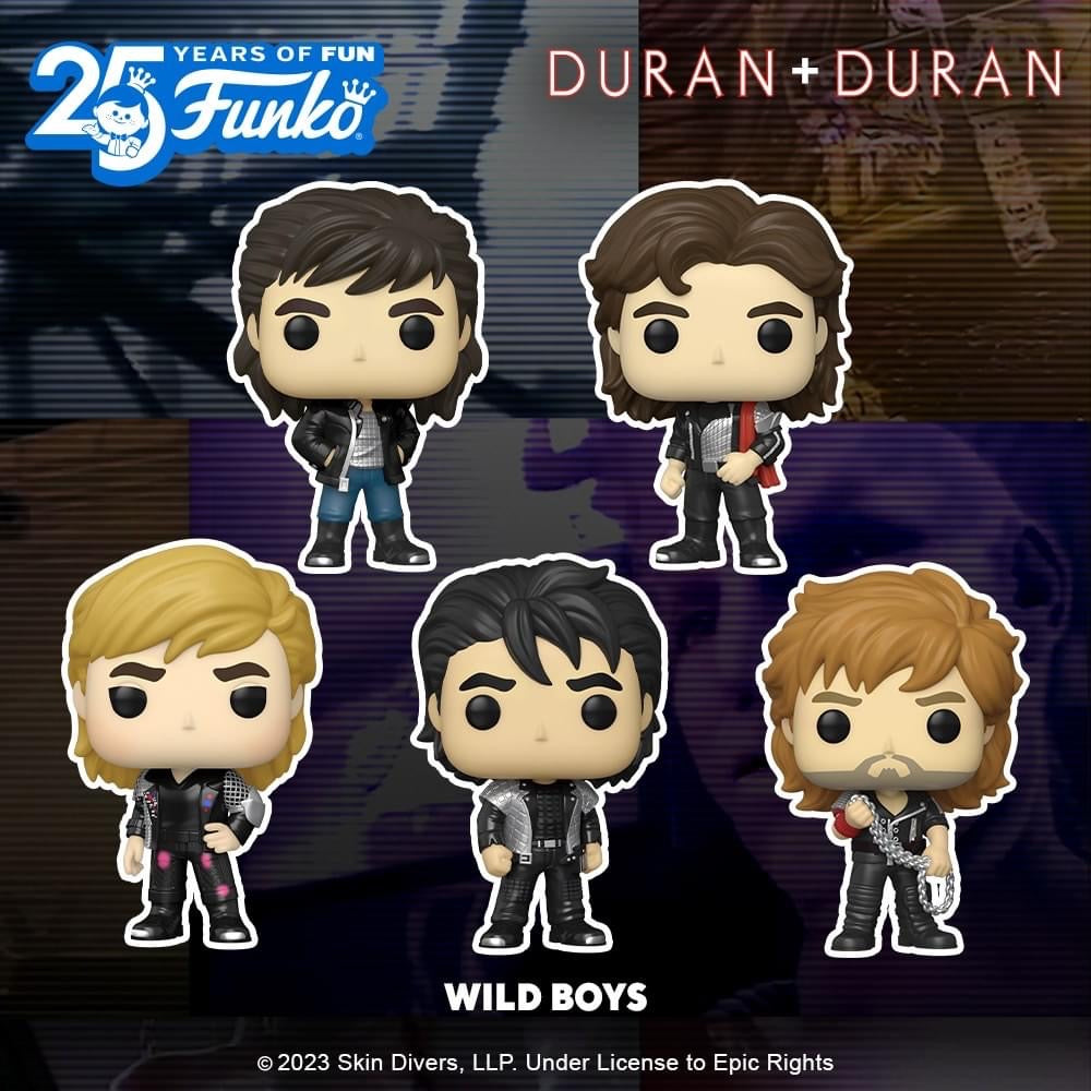 pop andy taylor the wild boys 331