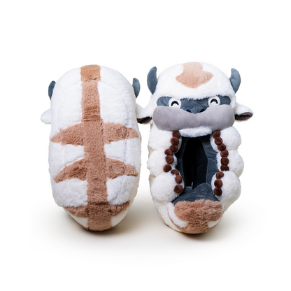 Appa Slippers