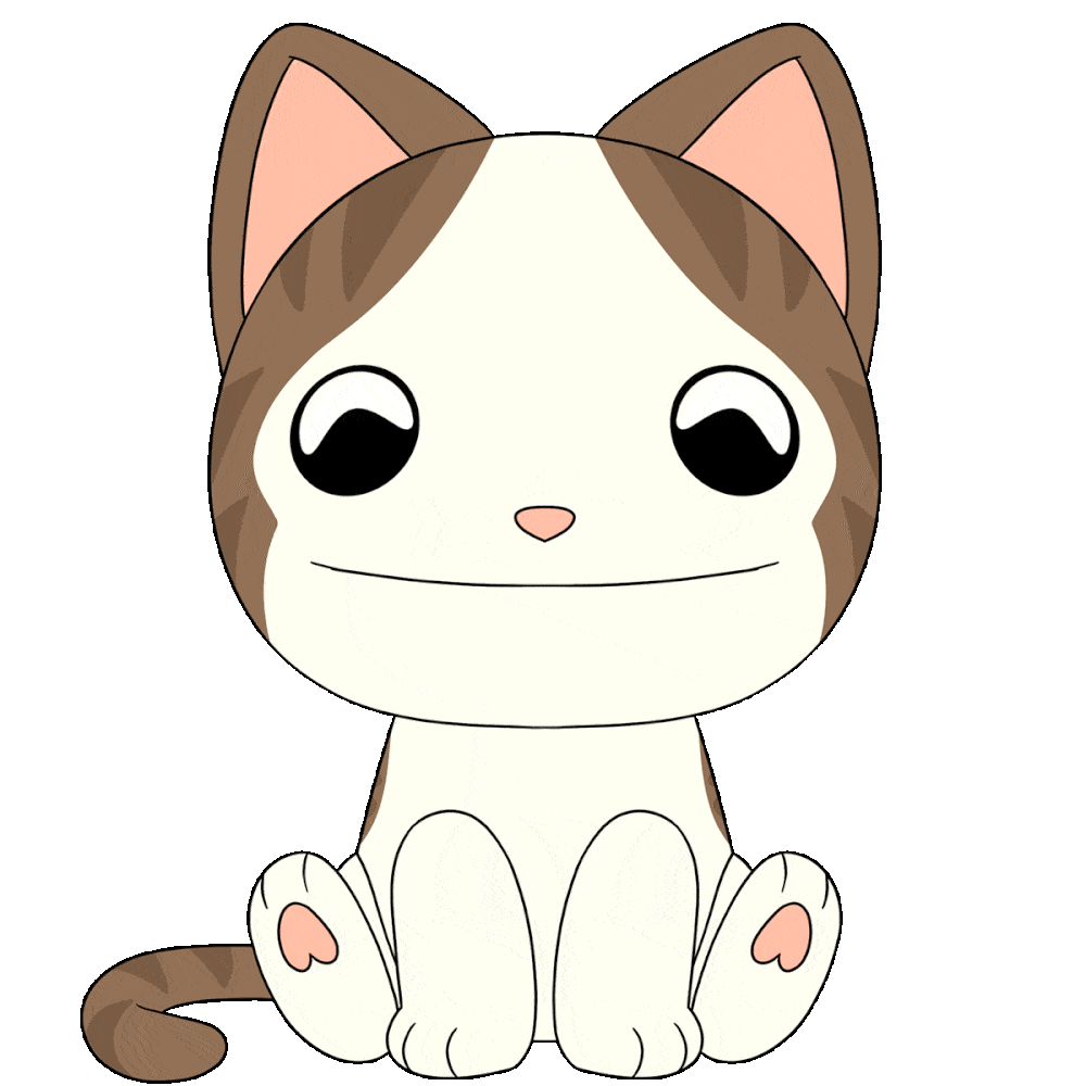 Popcat Plüsch (23 cm)