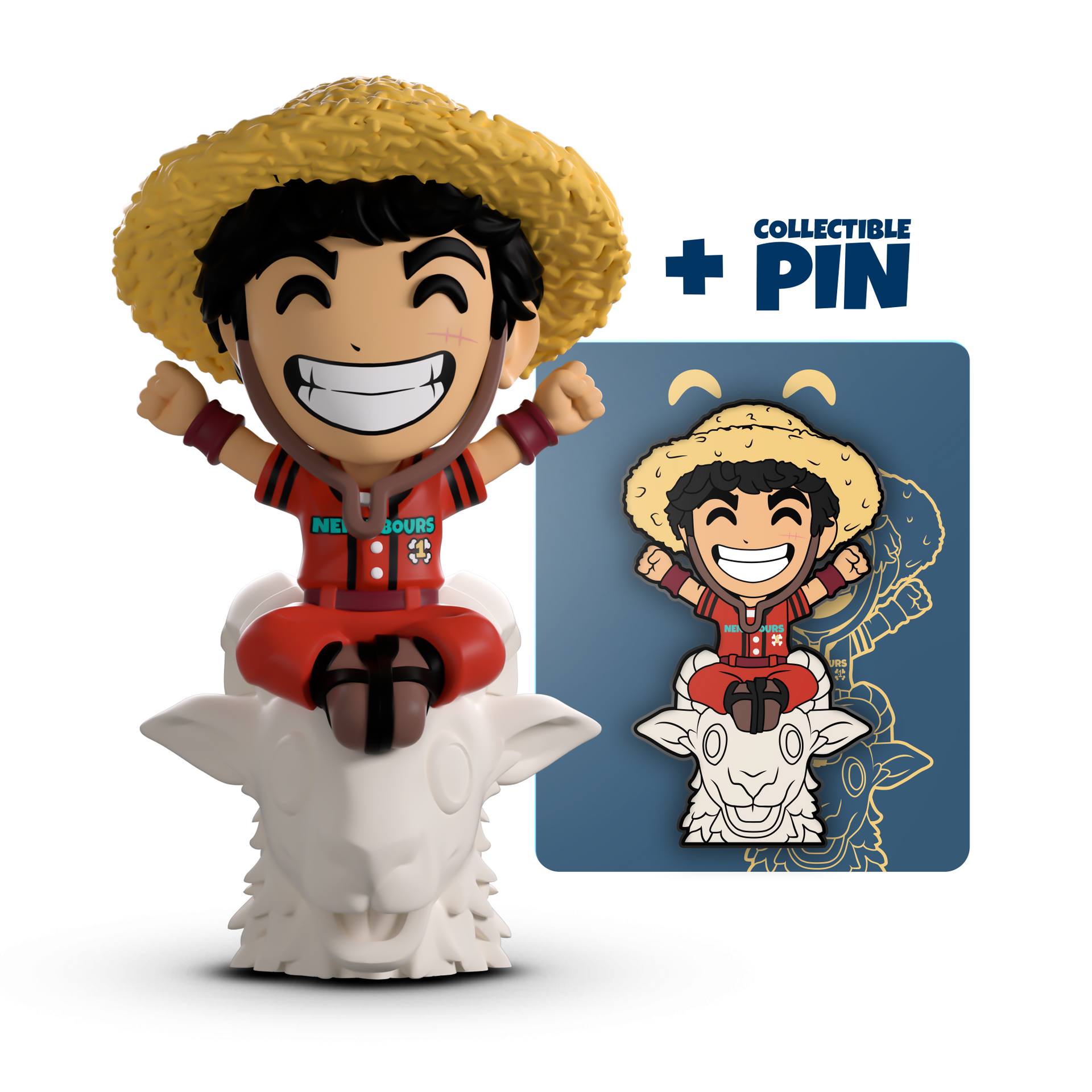 Going Merry Luffy