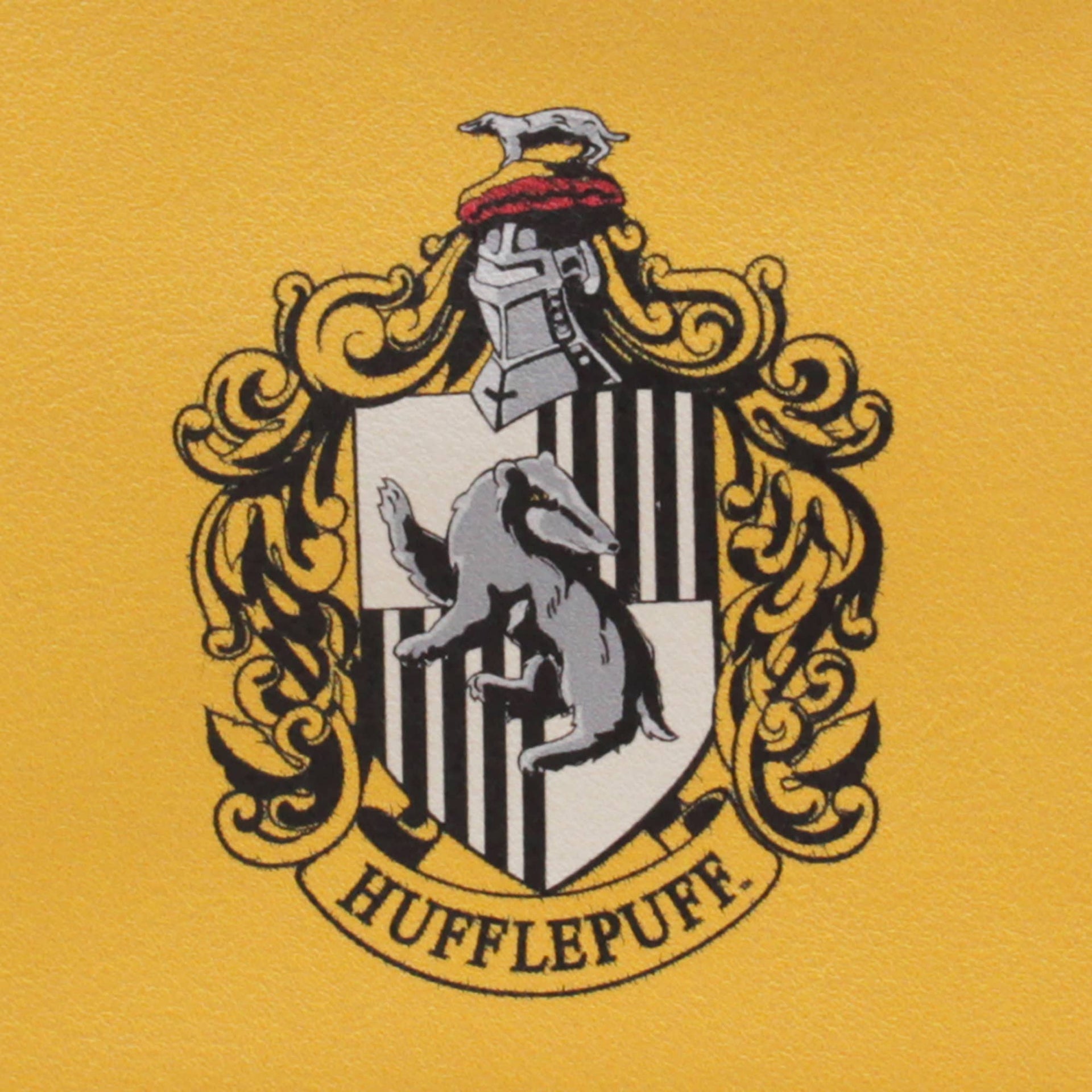 Harry Potter Hufflepuff Münzbeutel
