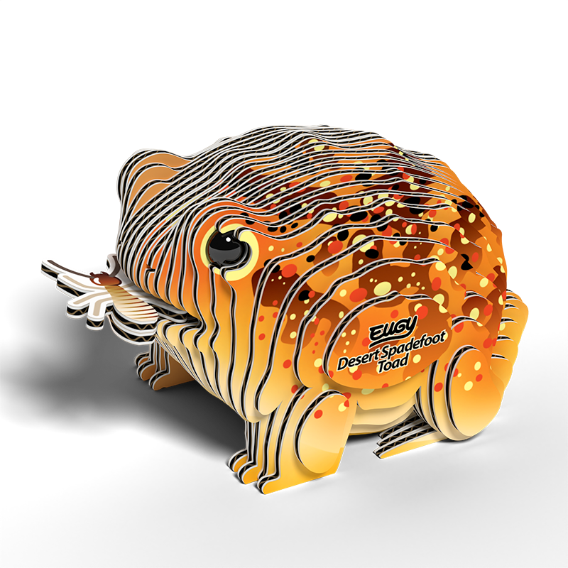 eugy-117-desert-spadefoot-toad