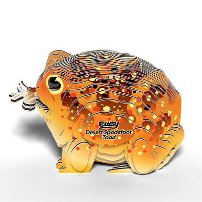 eugy-117-desert-spadefoot-toad