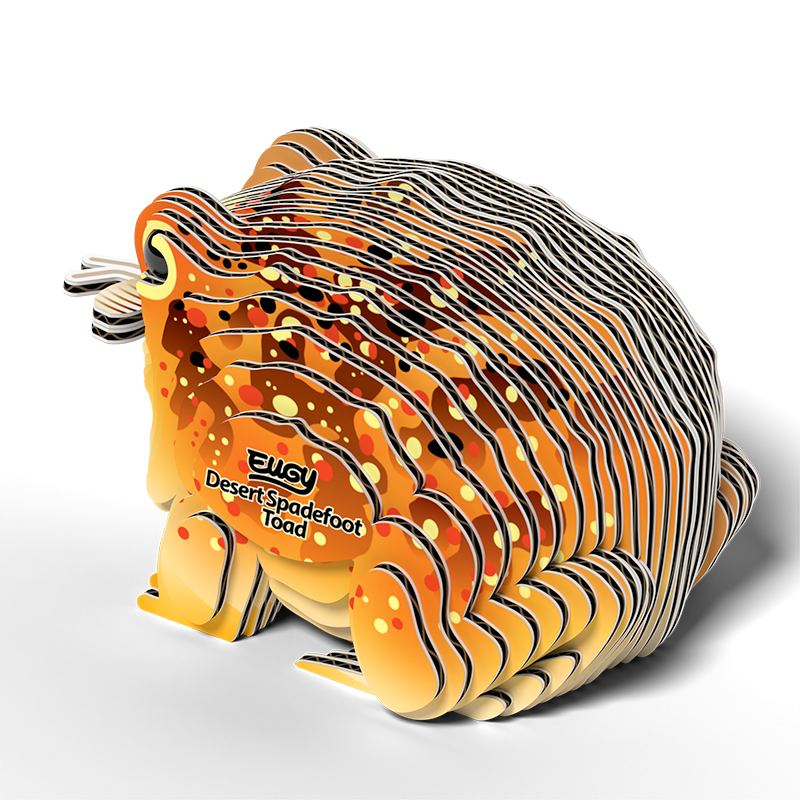 eugy-117-desert-spadefoot-toad