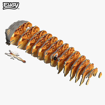 eugy-117-desert-spadefoot-toad