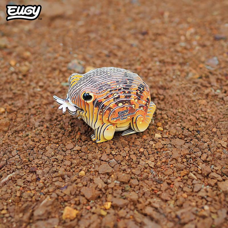 eugy-117-desert-spadefoot-toad