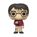 pop harry potter with stone 132