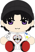 Divided Plush (9in)