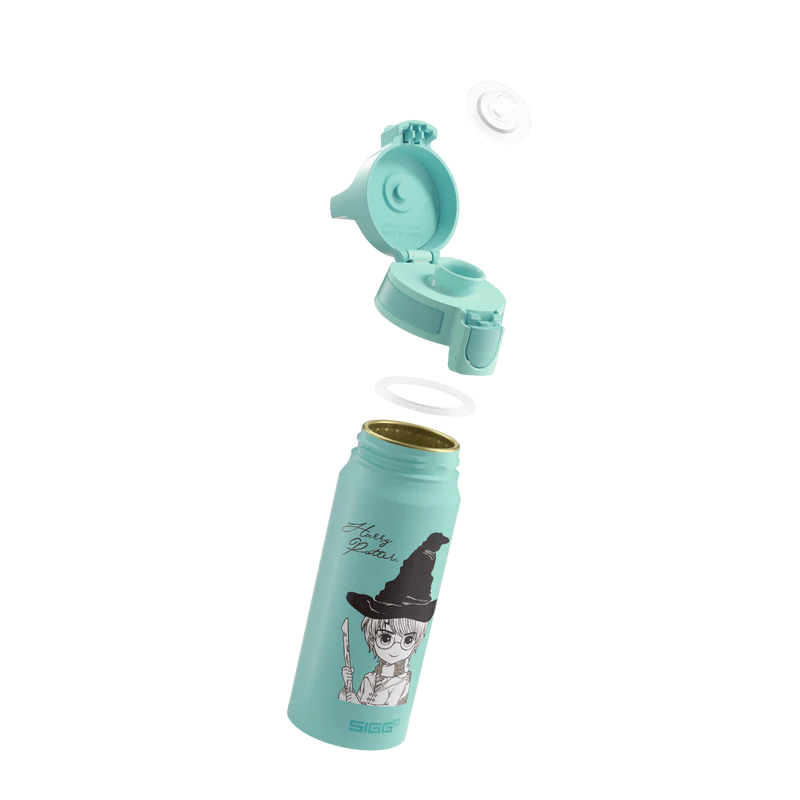 WMB ONE Kids Harry Potter 0,6 l Wasserflasche 