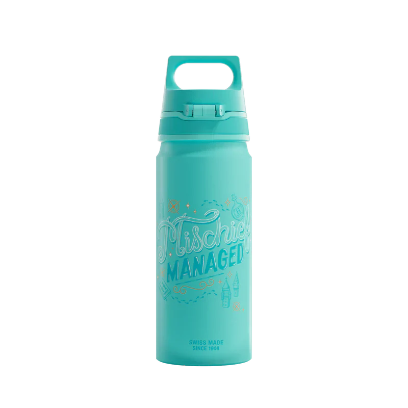 WMB ONE Kids Harry Potter 0,6 l Wasserflasche 