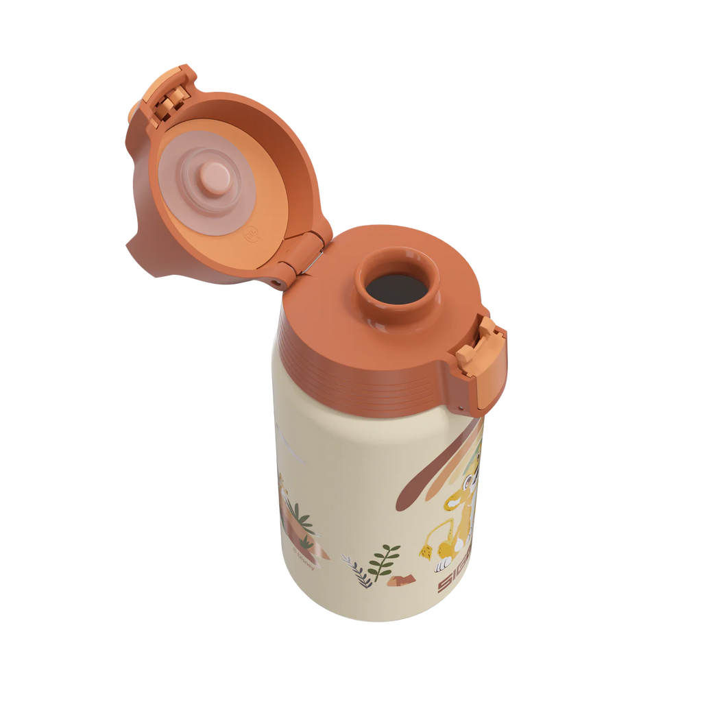 Gourde enfant Shield ONE Kids Roi Lion 0.5 L