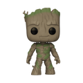 pop groot 1203