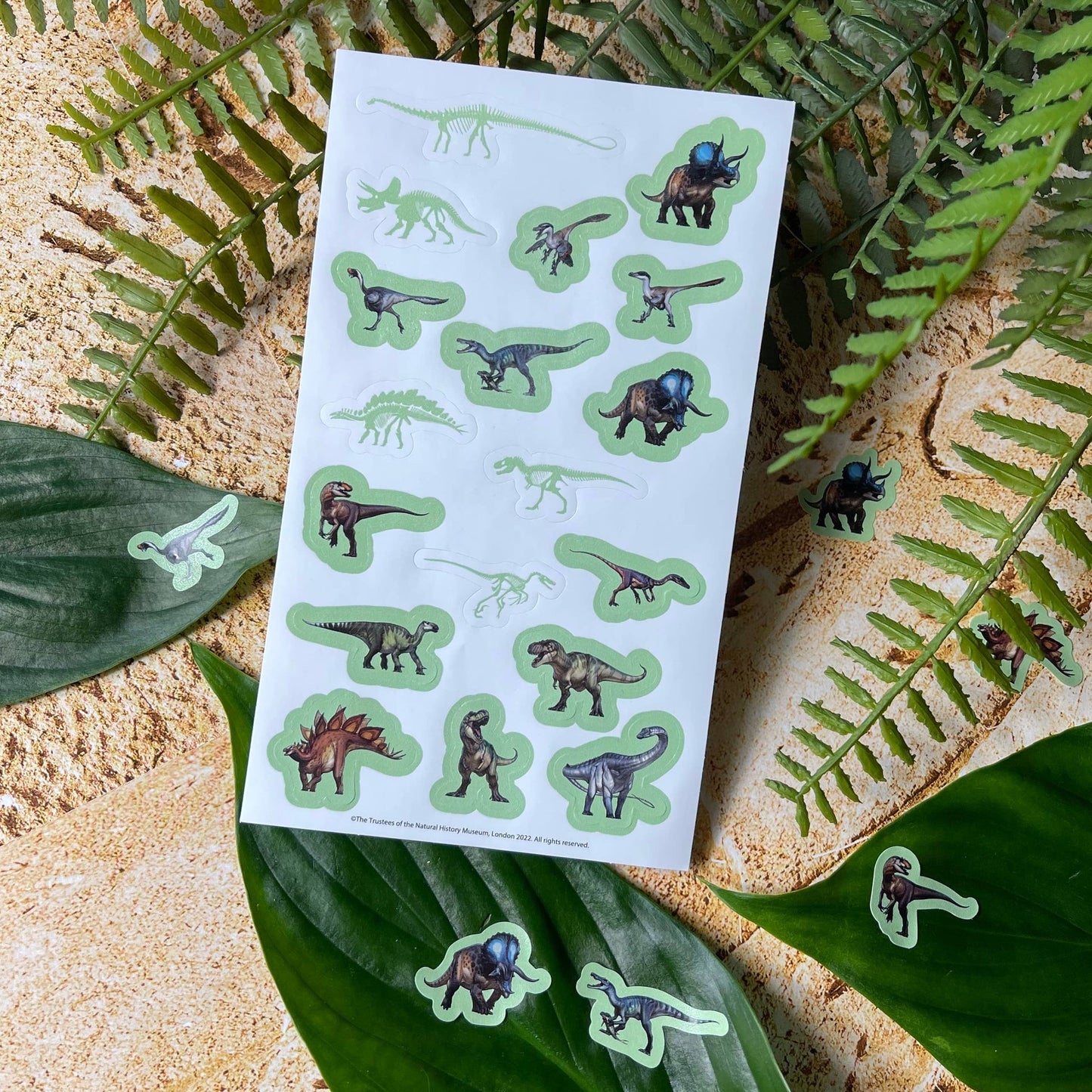 Autocollants – Glow in the dark du Musée d'histoire naturelle | Blueprint Collections – vue 6