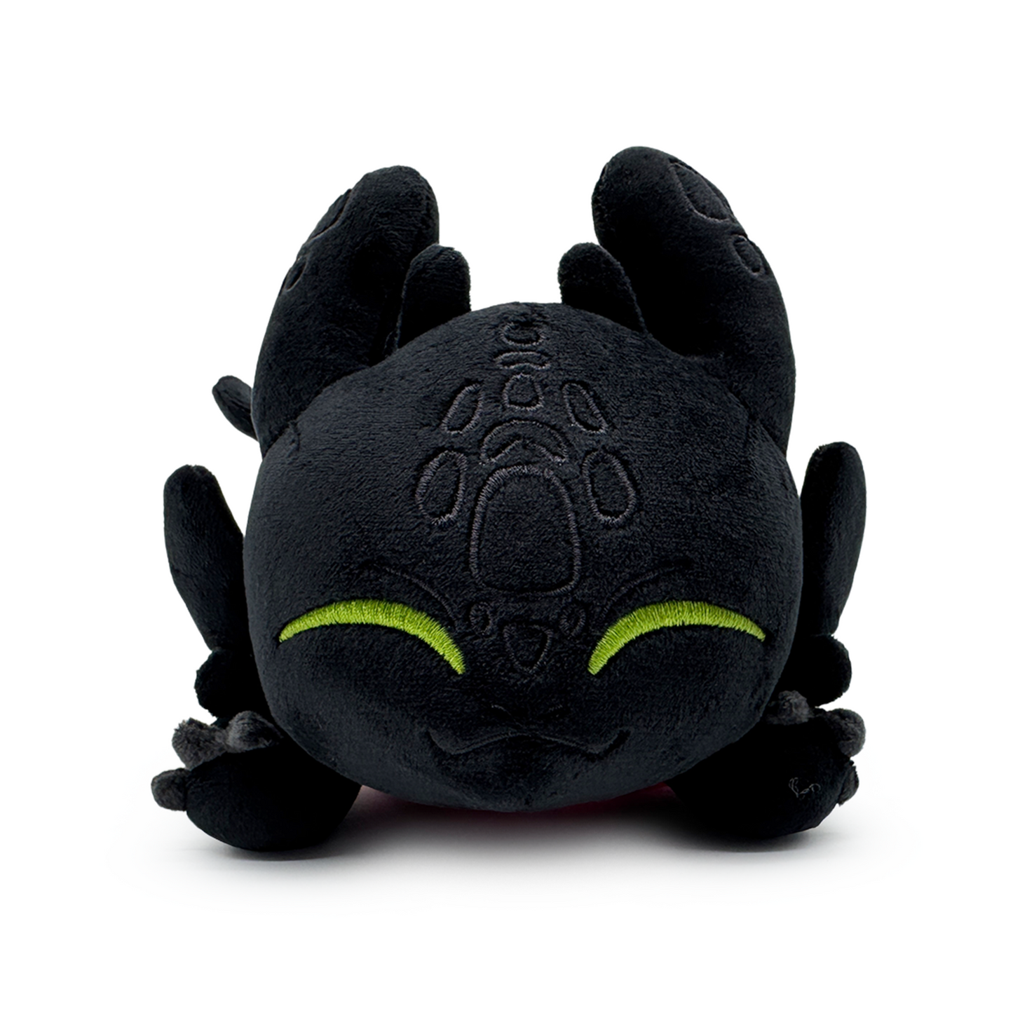 Zahnloser Schulterreiter (15 cm)