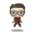 Harry Potter na Nimbusu 2000 - PREDNAROČILO*