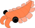 Anomalocaris Plush (9in)