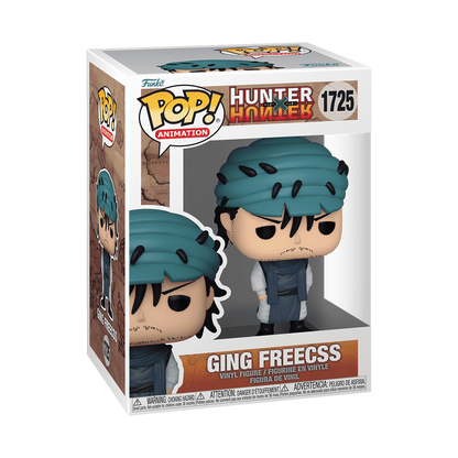 Pop! Ging Freecss