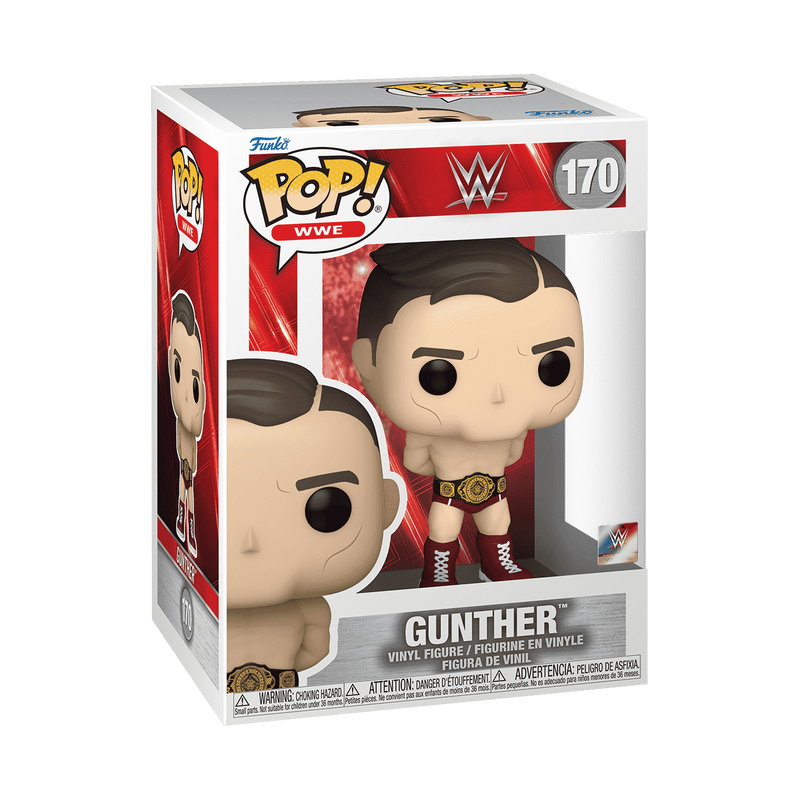 pop gunther intercontinental champion 170