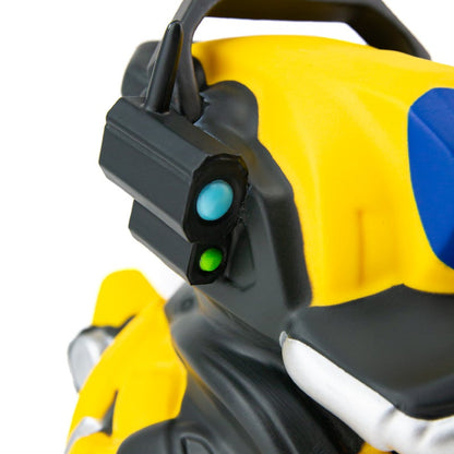 Canard Sweeper Bot (First Edition)