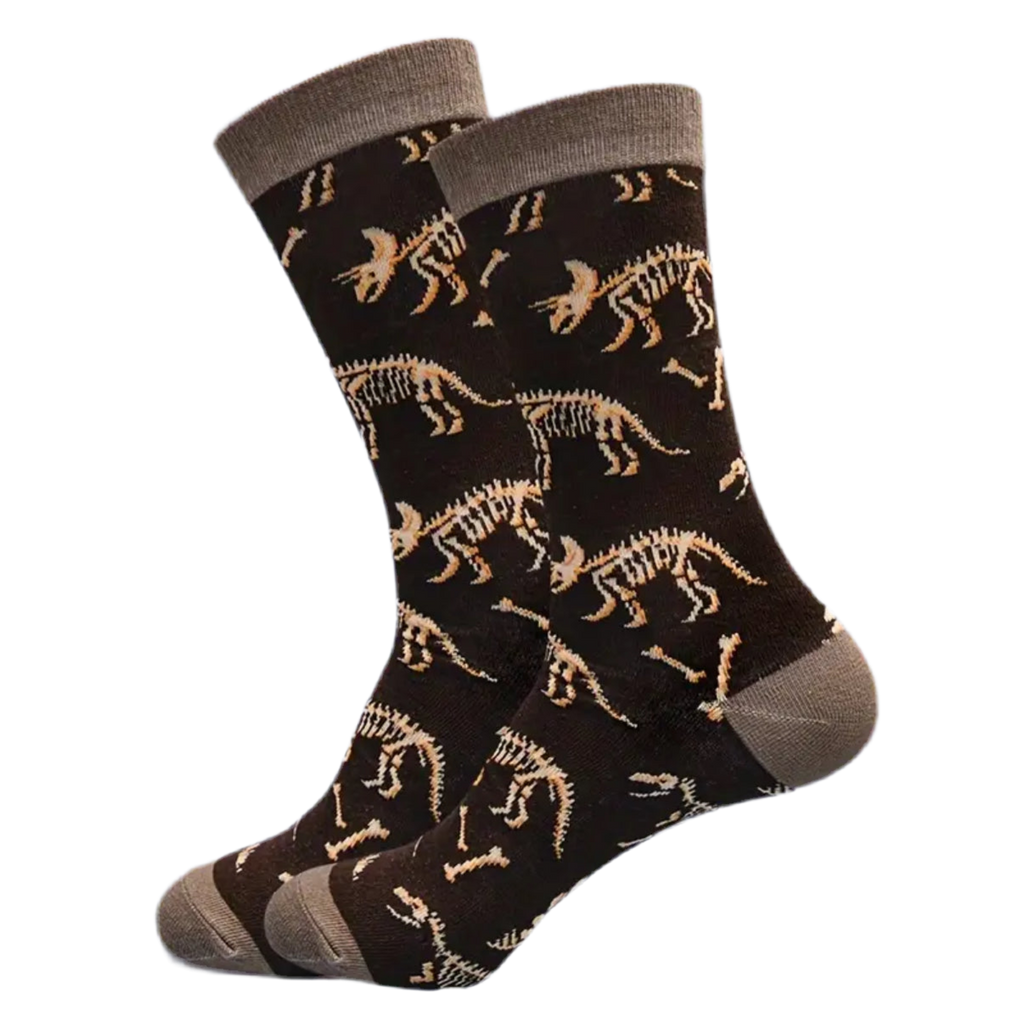 Chaussettes Fossiles de Dinosaures