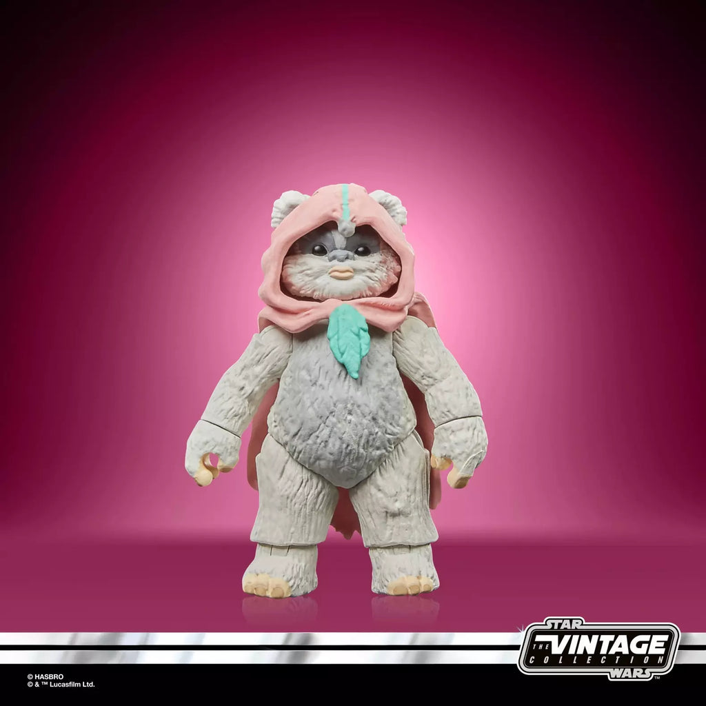 Star Wars The Vintage Collection Wicket et Kneesaa