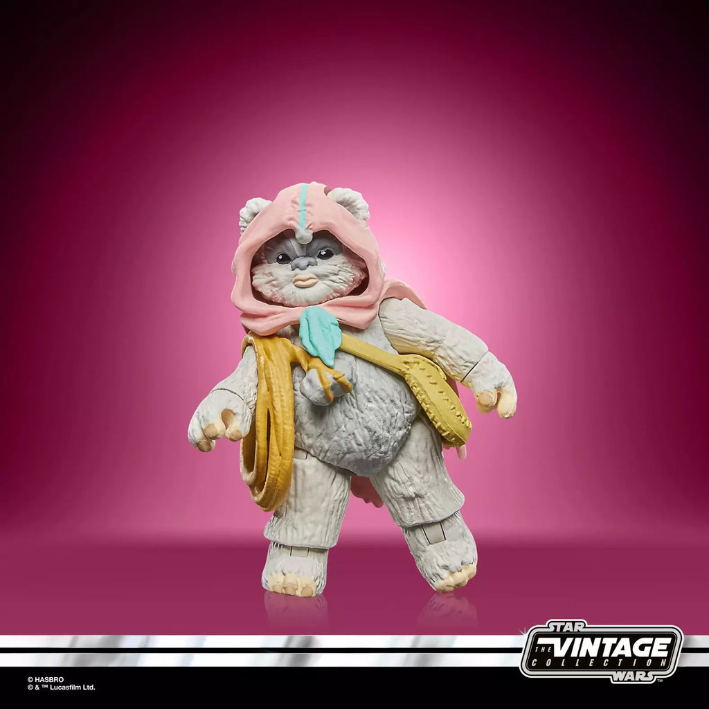 Star Wars The Vintage Collection Wicket et Kneesaa