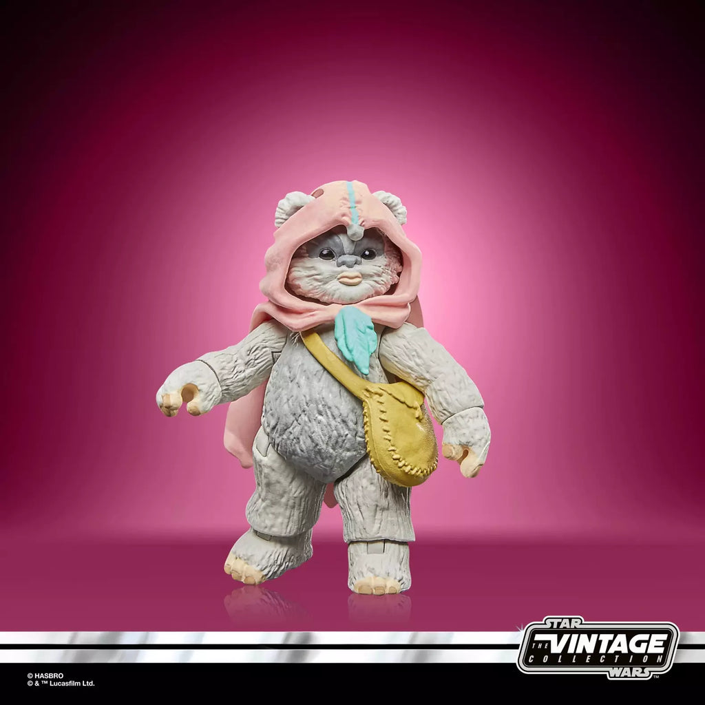 Star Wars The Vintage Collection Wicket et Kneesaa