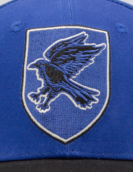 Havraspárská čepice