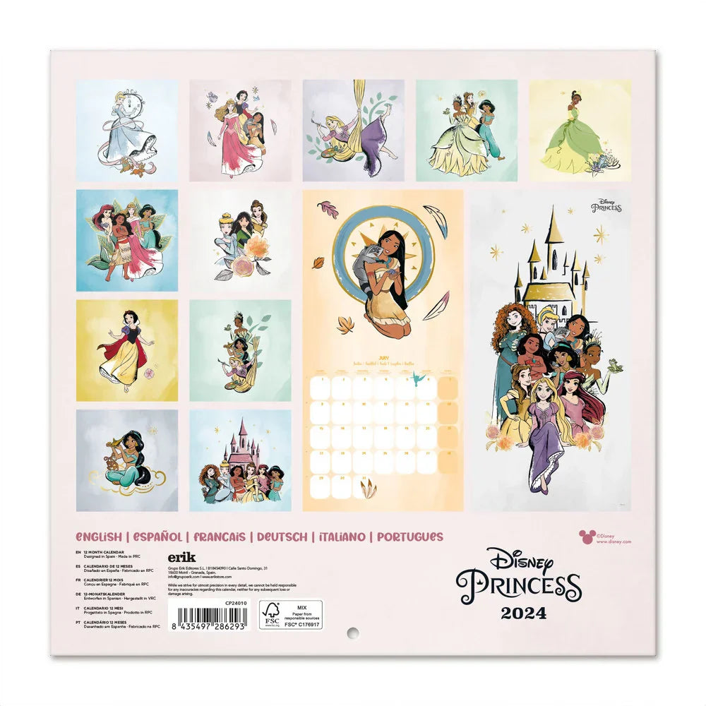 Nástěnný kalendář Disney princezny - 2024