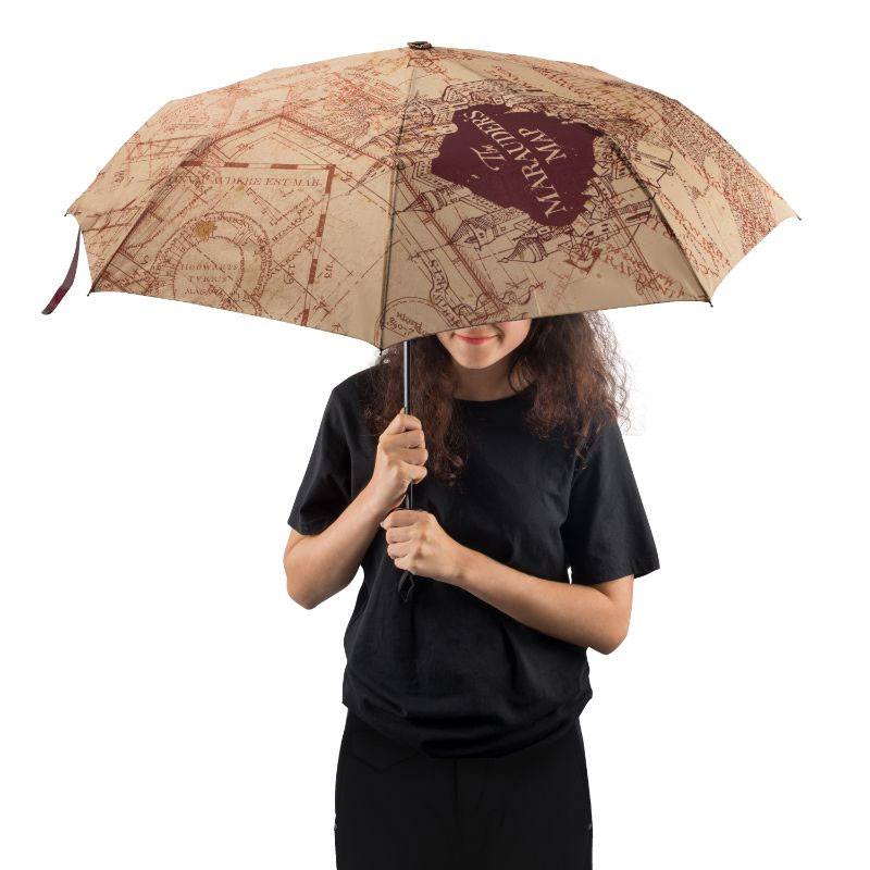 Harry Potter Regenschirm - Karte des Rumtreibers