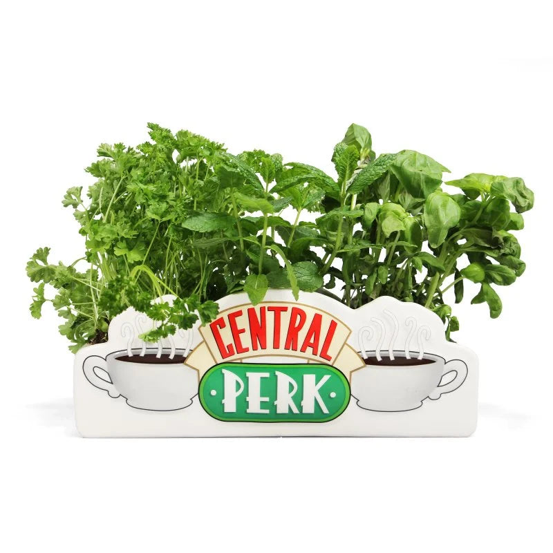 Pot de fleurs Friends -  Central Perk