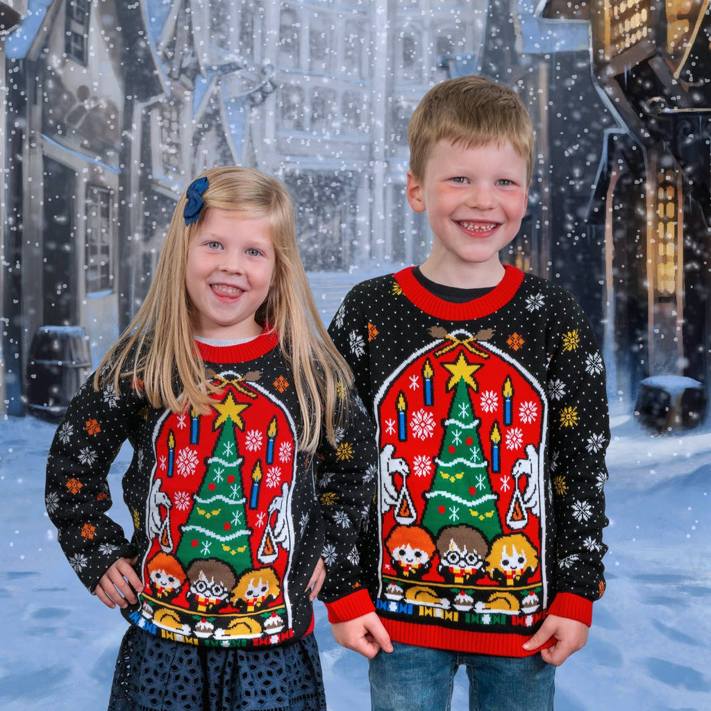 Pull de Noël Harry Potter - Kawaii
