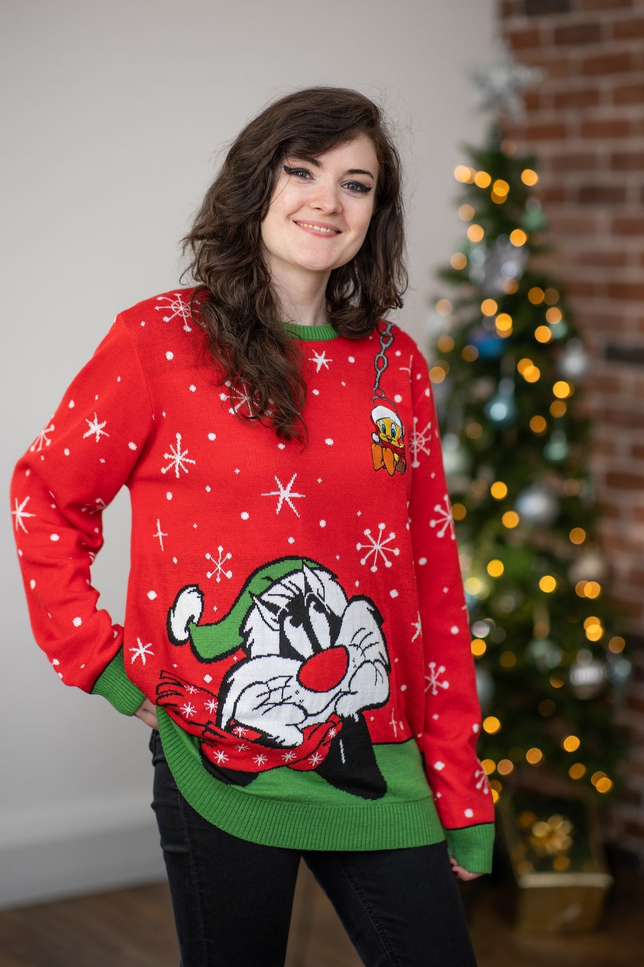 Vánoční svetr s motivem Looney Tunes