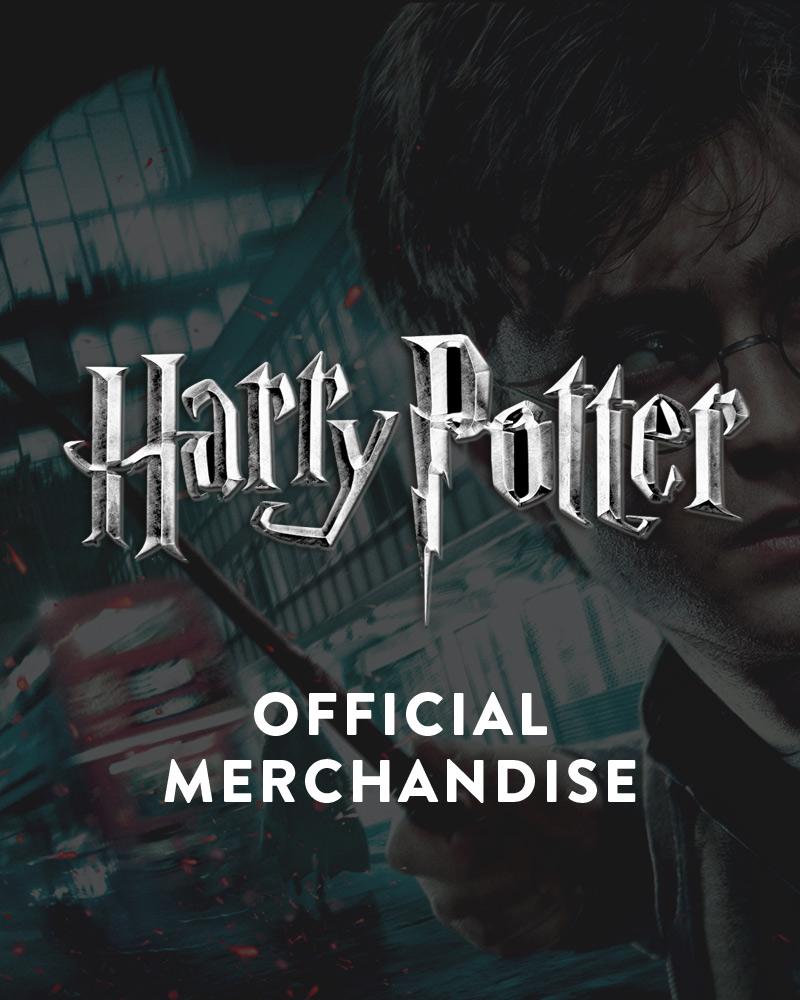 Magnets Harry Potter