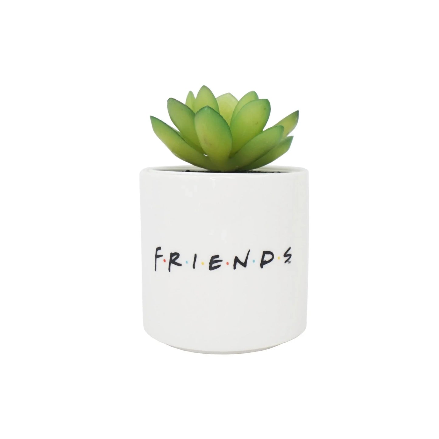 Pot avec Fausse Plante Friends - Central Perk