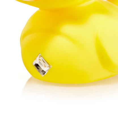 Kaczka Tęczowy Troll (Pierwsze wydanie)