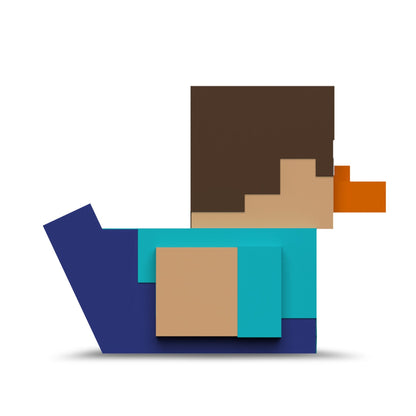 Steve Duck (pierwsze wydanie)