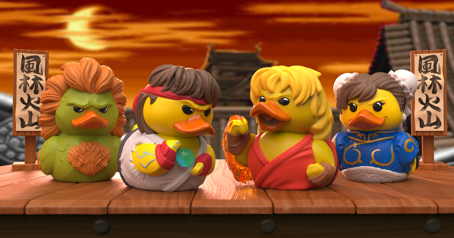 Canards Street Fighter - Wave 01 TUBBZ | Cosplaying Ducks Numskull