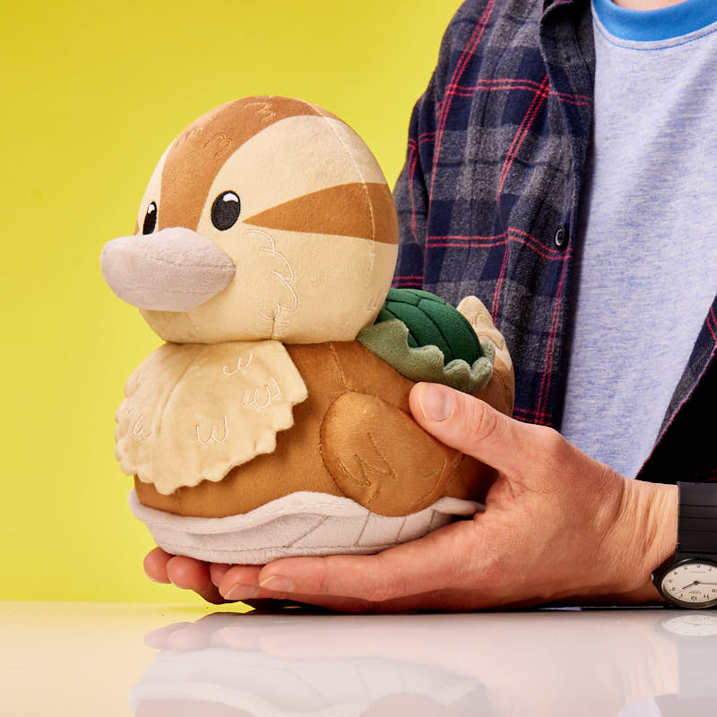Schildpad Eend (Plushie)