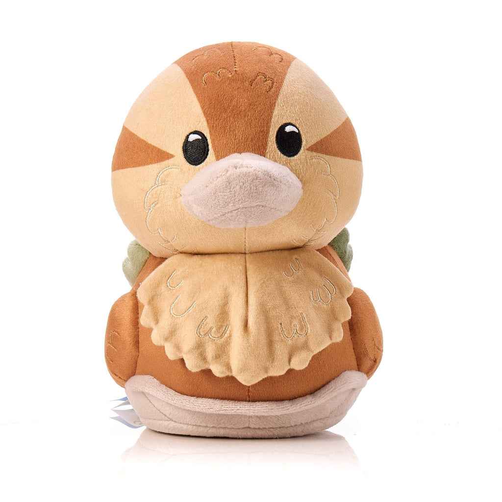 Schildpad Eend (Plushie)