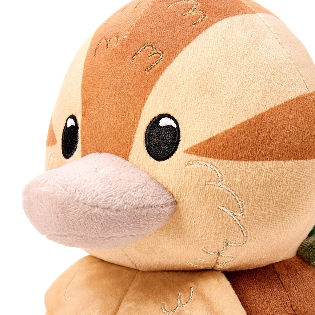 Schildpad Eend (Plushie)