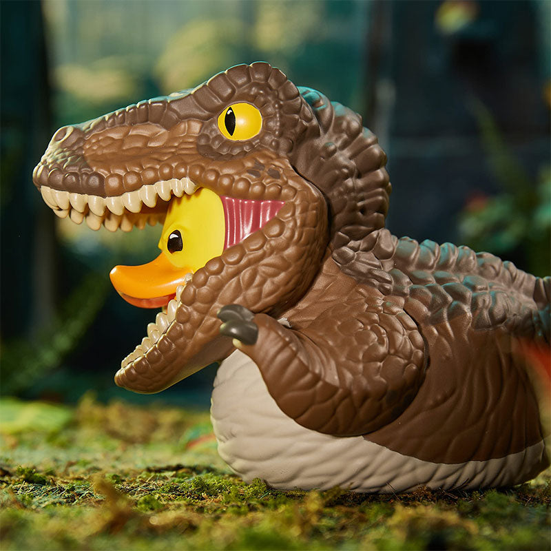 Canard Velociraptor